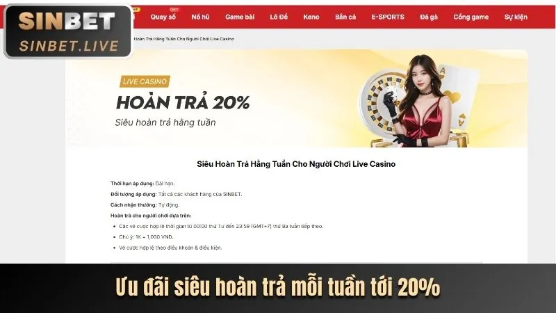 Các điều khoản và điều kiện quan trọng của chương trình khuyến mãi ee8801