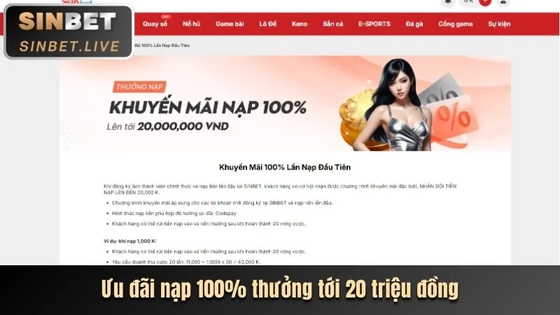 Khuyến mãi độc quyền tại EE8801